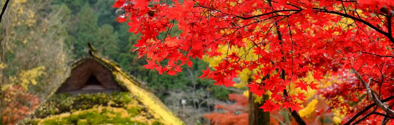 ちゃりの駅あじす近日オープン