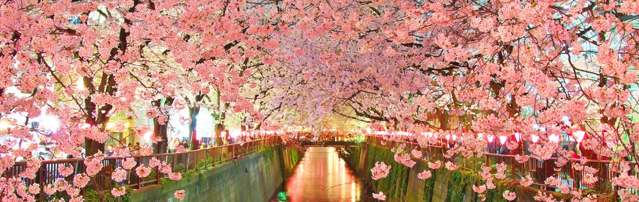 ちゃりの駅あじす近日オープン